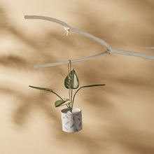 Load image into Gallery viewer, Plant Ornament Pack of 2
