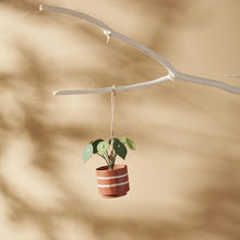 Load image into Gallery viewer, Plant Ornament Pack of 2