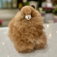 Load image into Gallery viewer, Alpaca
