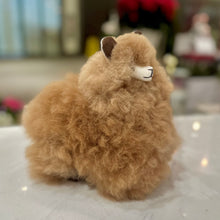 Load image into Gallery viewer, Alpaca