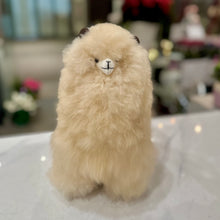 Load image into Gallery viewer, Alpaca