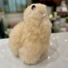 Load image into Gallery viewer, Alpaca