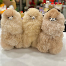 Load image into Gallery viewer, Alpaca