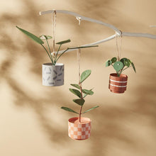 Load image into Gallery viewer, Plant Ornament Pack of 2