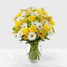 Load image into Gallery viewer, Sunny Sentiments