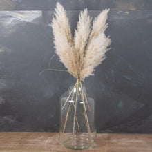 Load image into Gallery viewer, Cream Pampas Grass