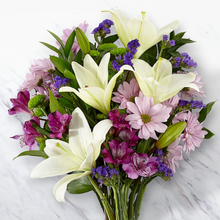 Load image into Gallery viewer, Lavender Fields Mix