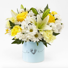 Load image into Gallery viewer, Tiny Miracle Baby Boy