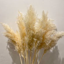 Load image into Gallery viewer, Cream Pampas Grass