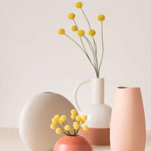 Load image into Gallery viewer, Billy Button