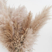 Load image into Gallery viewer, Mini Pampas Grass