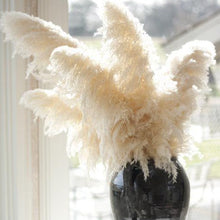 Load image into Gallery viewer, Large Pampas Grass