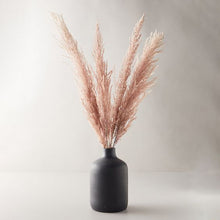 Load image into Gallery viewer, Mini Pampas Grass
