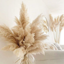 Load image into Gallery viewer, Cream Pampas Grass