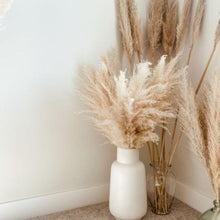 Load image into Gallery viewer, Large Pampas Grass