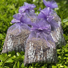 Load image into Gallery viewer, Lavender Organza Sachet