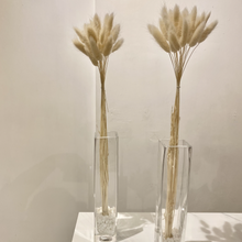 Load image into Gallery viewer, Red Bunny Tail Grass