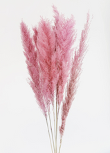 Load image into Gallery viewer, Large Pink Pampas
