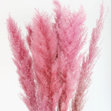 Load image into Gallery viewer, Large Pink Pampas