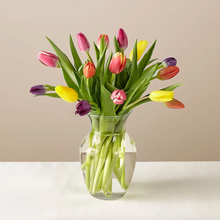 Load image into Gallery viewer, Spring Breeze Tulips