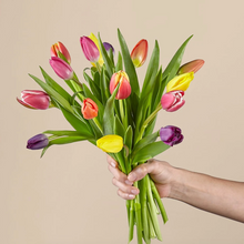Load image into Gallery viewer, Spring Breeze Tulips