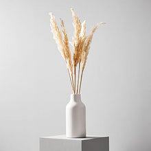 Load image into Gallery viewer, Mini Pampas Grass