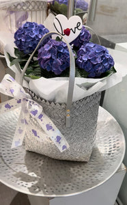 Potted Purple Hydrangea