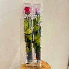 Load image into Gallery viewer, Long Stem Preserved Rose
