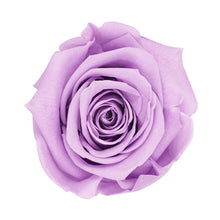 Load image into Gallery viewer, Long Stem Preserved Rose
