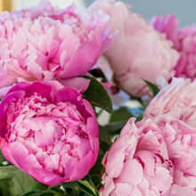 Load image into Gallery viewer, Peony Bouquet
