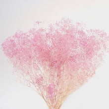 Load image into Gallery viewer, Dried Gypsophila (Baby&#39;s Breath)
