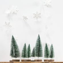 Load image into Gallery viewer, Christmas Trees
