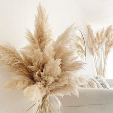 Load image into Gallery viewer, Cream Pampas Grass
