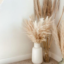 Load image into Gallery viewer, Large Pampas Grass
