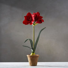 Load image into Gallery viewer, Artificial Amaryllis Set of 2
