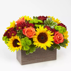 Happy Harvest Arrangement