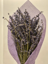 Load image into Gallery viewer, Dried Lavender Bouquet
