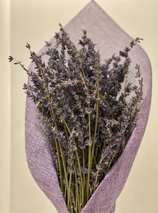 Dried Lavender Bouquet