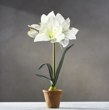 Load image into Gallery viewer, Artificial Amaryllis Set of 2
