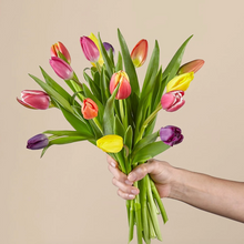 Load image into Gallery viewer, Spring Breeze Tulips
