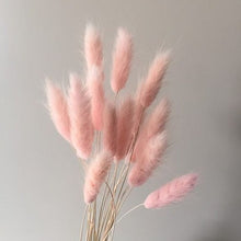 Load image into Gallery viewer, Pink Bunny Tail Grass
